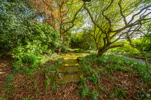 REAR GARDEN- click for photo gallery